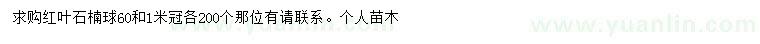 求購冠幅60、1米紅葉石楠球