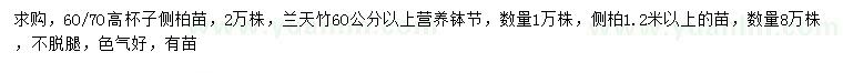 求購高60、70側柏苗、60公分以上蘭天竹