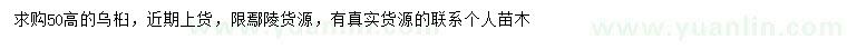 求購高50公分烏桕