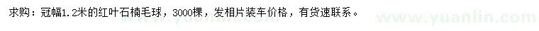 求購冠幅1.2米紅葉石楠