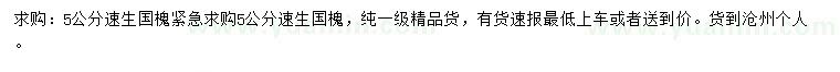 求購(gòu)5公分速生國(guó)槐