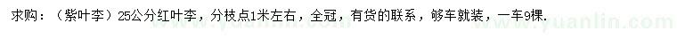 求購25公分紅葉李