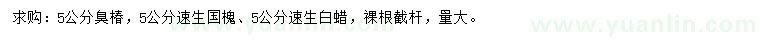 求購(gòu)臭椿、國(guó)槐、白蠟