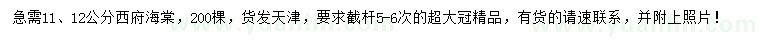 求購11、12公分西府海棠
