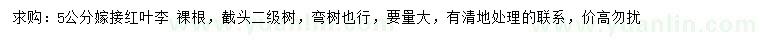 求購5公分嫁接紅葉李