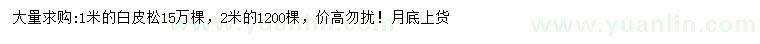 求購1、2米白皮松