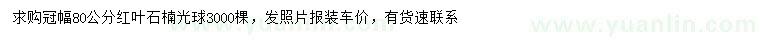 求購(gòu)冠幅80公分紅葉石楠光球