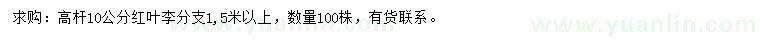 求購10公分紅葉李