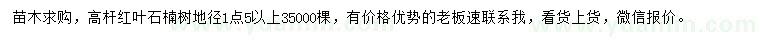 求購地徑1.5公分以上高桿紅葉石楠