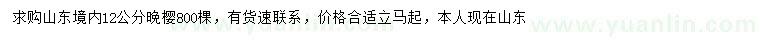 求購(gòu)12公分晚櫻