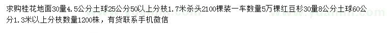 求購30公分量4.5公分桂花、8公分紅豆杉