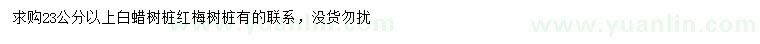 求購23公分以上白蠟樹樁、紅梅樹樁