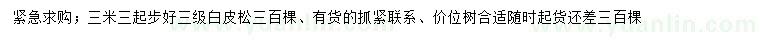 求購3.3米白皮松