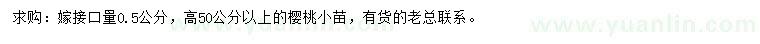 求購(gòu)高50公分以上櫻桃小苗