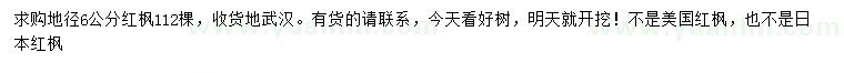 求購(gòu)地徑6公分紅楓