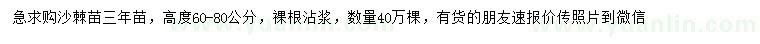求購高60-80公分沙棘苗