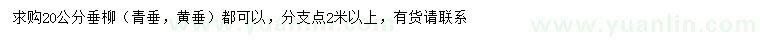 求購20公分垂柳