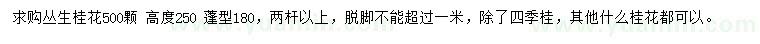 求購(gòu)高250公分叢生桂花