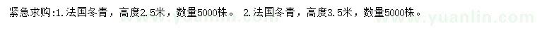求購(gòu)高2.5、3.5米法國(guó)冬青