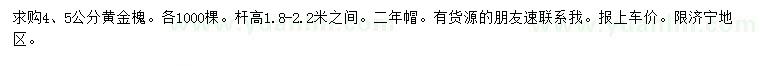 求購4、5公分黃金槐