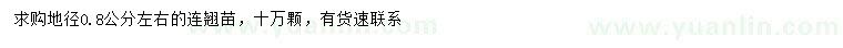 求購地徑0.8公分左右連翹苗