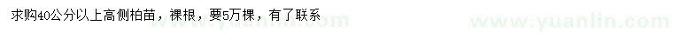 求購高40公分以上側(cè)柏苗