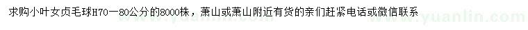 求購高70-80公分小葉女貞球