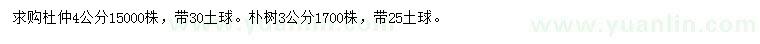 求購4公分杜仲、3公分樸樹