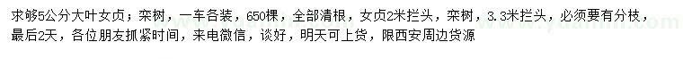 求購大葉女貞、欒樹、女貞
