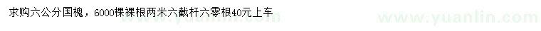 求購6公分國槐