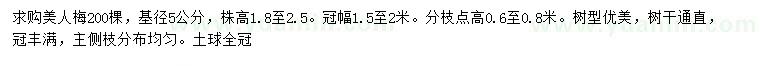 求購基徑5公分美人梅
