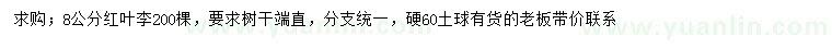 求購8公分紅葉李