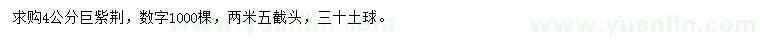 求購4公分巨紫荊