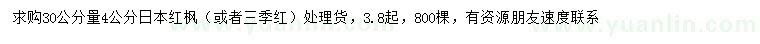 求購30公分量4公分日本紅楓