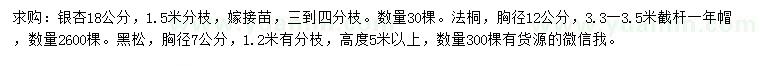 求購銀杏、法桐、黑松