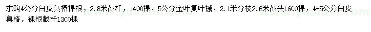 求購(gòu)4-5公分白皮臭椿、5公分金葉復(fù)葉槭