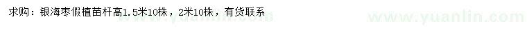 求購桿高1.5、2米銀海棗假植苗