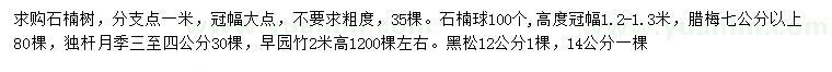 求購石楠樹、石楠球、臘梅等