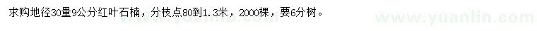 求購地徑30量9公分紅葉石楠