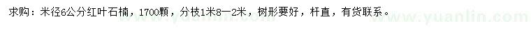 求購米徑6公分紅葉石楠
