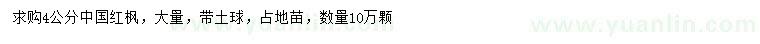 求購4公分中國(guó)紅楓