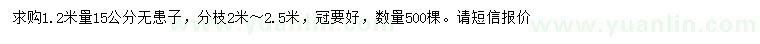 求購1.2米量15公分無患子