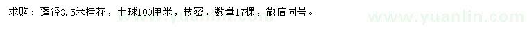 求購蓬徑3.5米桂花