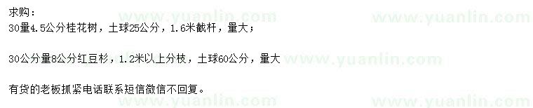 求購30量4.5公分桂花、8公分紅豆杉
