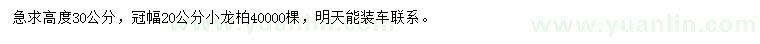 求購高30公分小龍柏