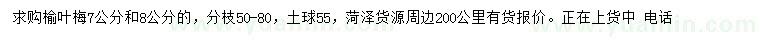 求購7、8公分榆葉梅