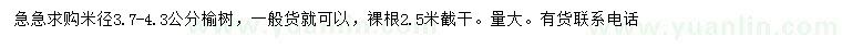 求購米徑3.7-4.3公分榆樹
