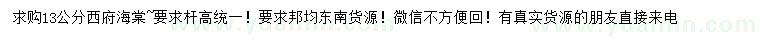 求購13公分西府海棠