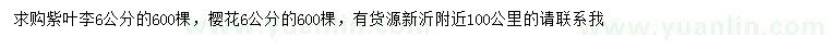 求購6公分紫葉李、櫻花