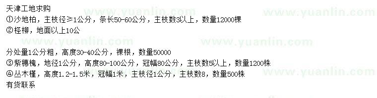 求購沙地柏、檉柳、紫穗槐等
